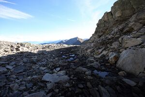 Goldlacken 0247 2013-10-08.jpg