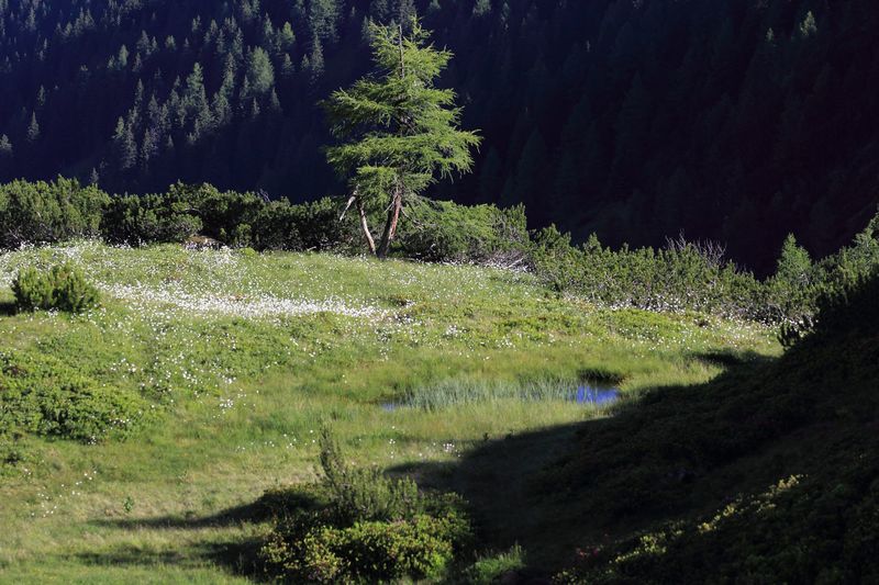 Datei:Gumpenkar 53238 2017-07-05.jpg