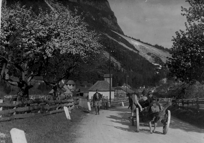 Datei:IMG 0006 NEW.jpg