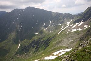 Krautwasch 0311 13-07-09.jpg