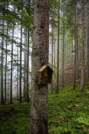 MA Bretterebner-3100-2020-05-27-2.jpg