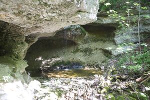 ND 356 Teichenbach Unterkainisch-0251-2025-05-01.jpg