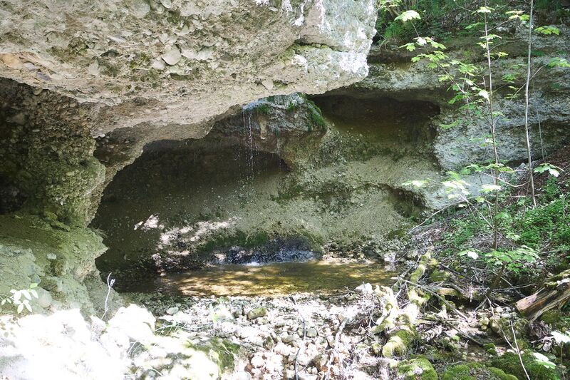 Datei:ND 356 Teichenbach Unterkainisch-0251-2025-05-01.jpg