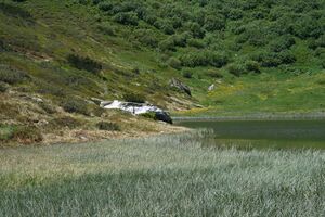 Plannersee 65293 2014-06-26.jpg