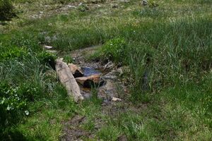 Plannersee 65294 2014-06-26.jpg