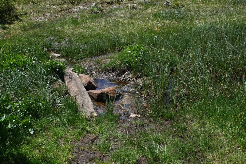 Datei:Plannersee 65294 2014-06-26.jpg