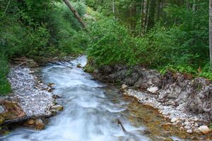 Rössingbach 1823 13-07-21.jpg