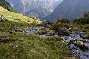 Säusenbach kleinsölk 73707 2014-10-03.jpg