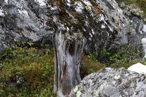 Strickerkar 56087 2014-05-02.jpg