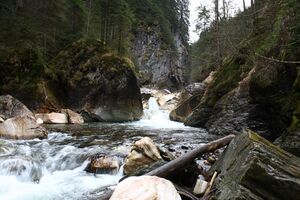 Strubschlucht 34410 2014-01-20.jpg