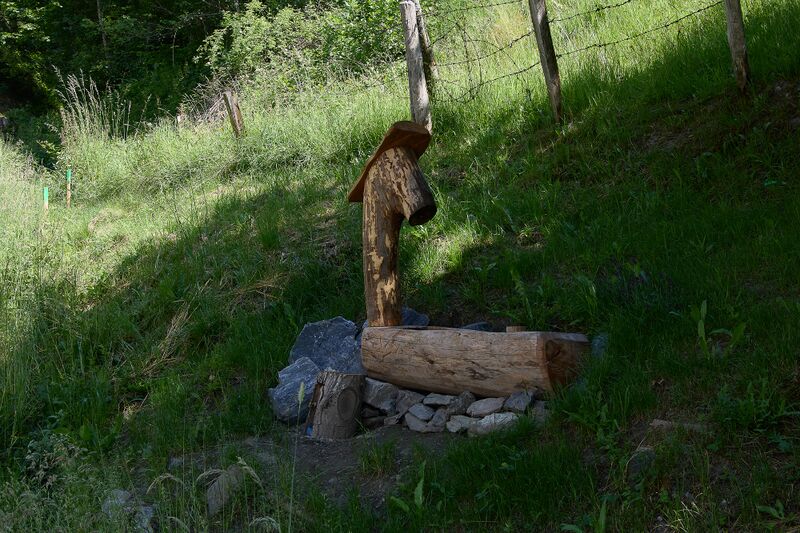 Datei:Vlg grabner gatschling 13-0641-2023-06-14.jpg