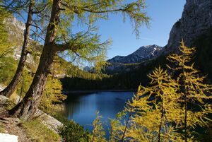 Vorderer Lahngangsee 2168 2011-10-16.jpg