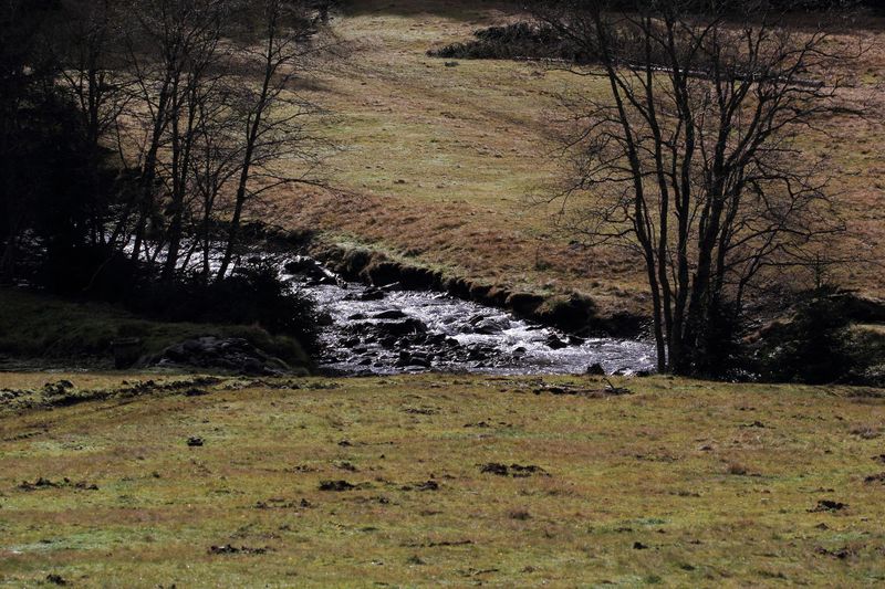 Datei:7httbach -lärchkaralm 66895 2017-10-26.jpg