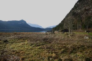 Altaussee seewiese 79054 2014-11-15.jpg