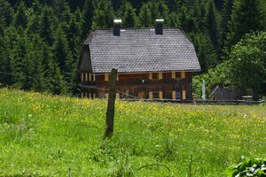 Beireutalm 90079 2015-06-08.jpg