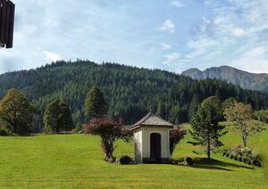 Bildstock Braun30284.JPG