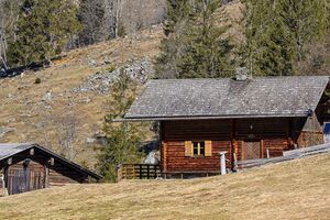 Druschalm untertal-16-2020-04-06.jpg