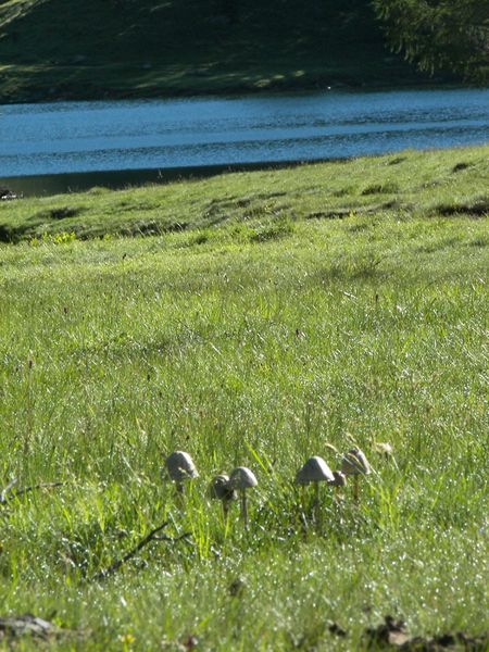 Datei:Duisitzkarsee 16012 2006-07-03.jpg