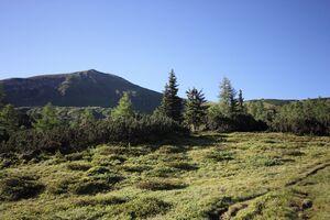 Gumpenkar 53253 2017-07-05.jpg