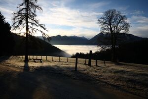 Halseralm-rittis 80083 2014-12-05.jpg