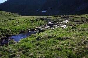 Lemperkar 3113 13-06-20.jpg