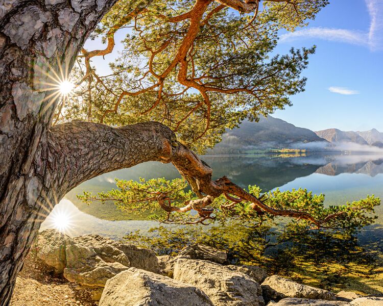 Datei:Manuel Capellari CAP22100708321014.jpg