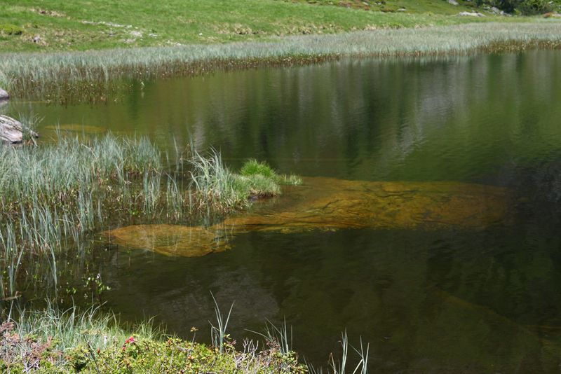 Datei:Schobersee 93176 2015-06-26.jpg