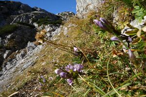 Seetal (Hölltal) 07333 2015-10-12.jpg