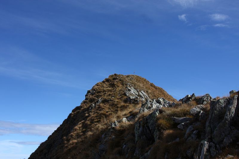 Datei:Stierkarkopf 0201 2013-10-08.jpg