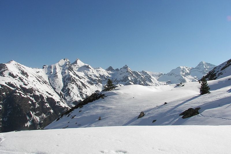 Datei:Wildkar 2387 2006-04-10.jpg