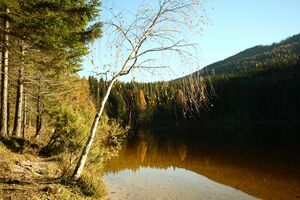 Ödensee 77937 2014-11-03.jpg