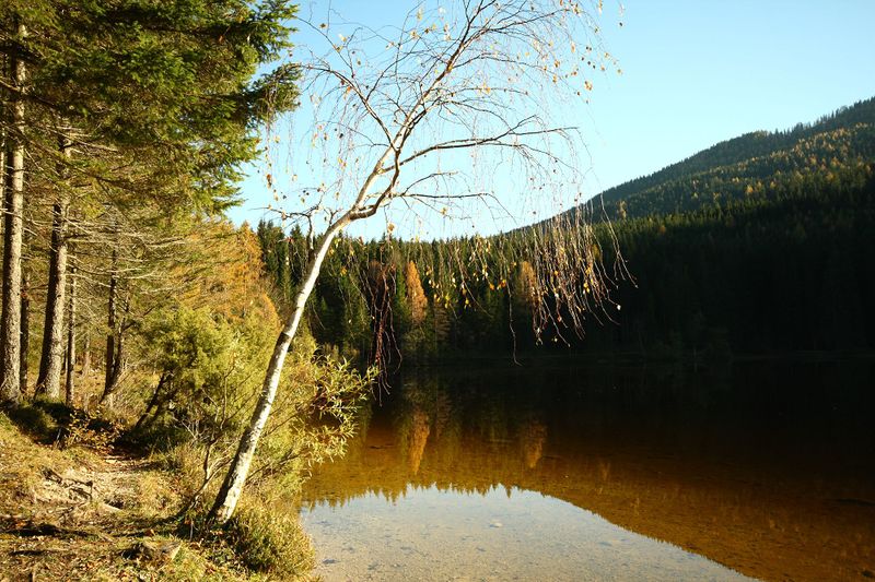 Datei:Ödensee 77937 2014-11-03.jpg