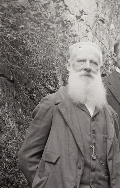 Datei:28 DSC3054 - Kopieausschnitt.JPG