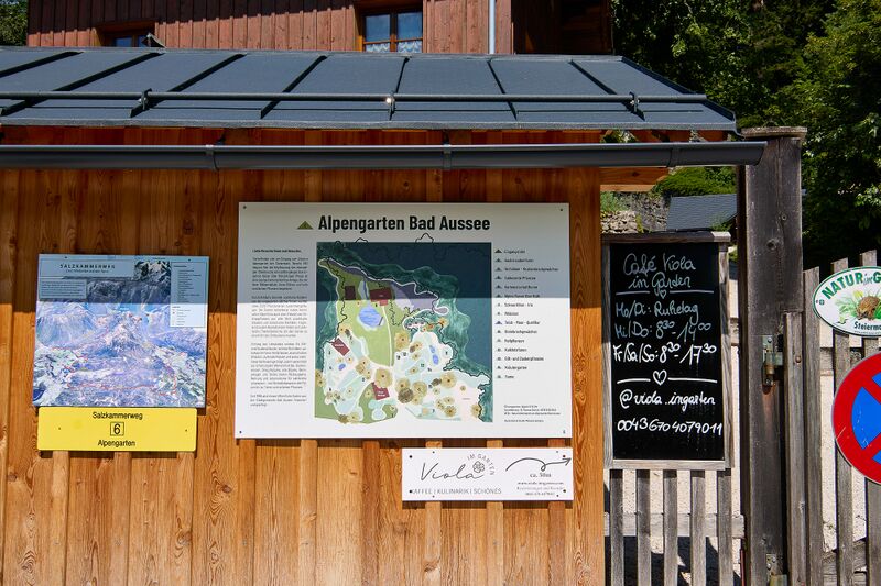 Datei:Alpengarten Bad Aussee-087-2026-07-11.jpg
