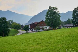 Brandstätterhof 8027.jpg