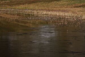 Duisitzkarsee 25471 2009-10-28.jpg