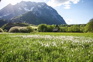 Europaschutzgebiet niederstuttern5130.jpg