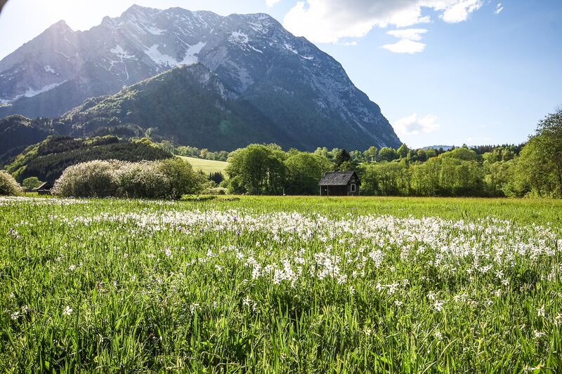 Datei:Europaschutzgebiet niederstuttern5130.jpg