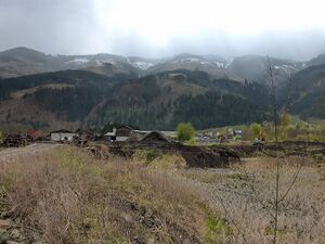 Frauenberger Torfstich070288.JPG