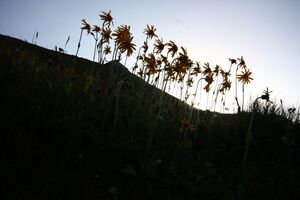Glattjoch 1454 13-08-07.jpg