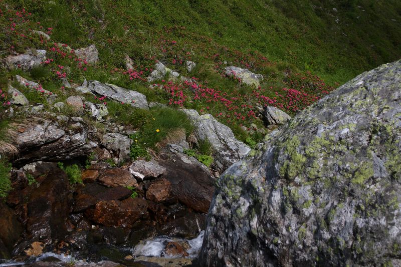 Datei:Herzmaierkar 32485 2011-07-06.jpg