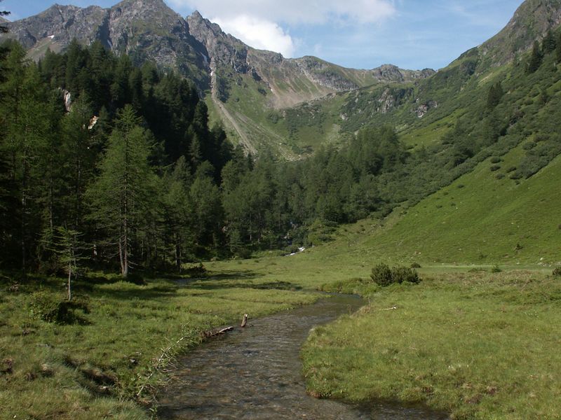 Datei:Im herzmeierkar 15403 2005-07-14.jpg