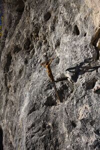 Marterl Schakerles 11405 2015-11-01.jpg