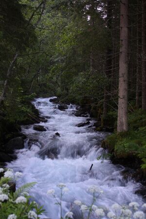 Obertalbach 25084 2009-06-17.jpg