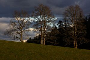 Rösteralm rittisberg 79356 2014-11-16.jpg