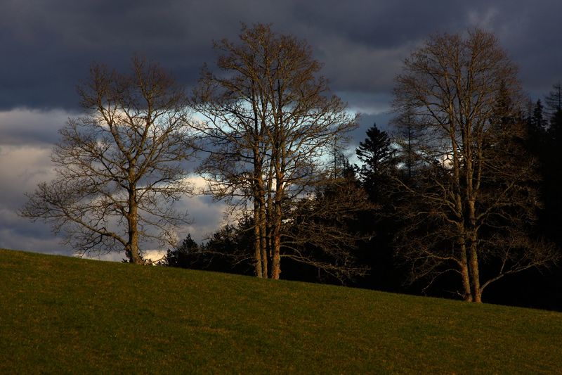 Datei:Rösteralm rittisberg 79356 2014-11-16.jpg