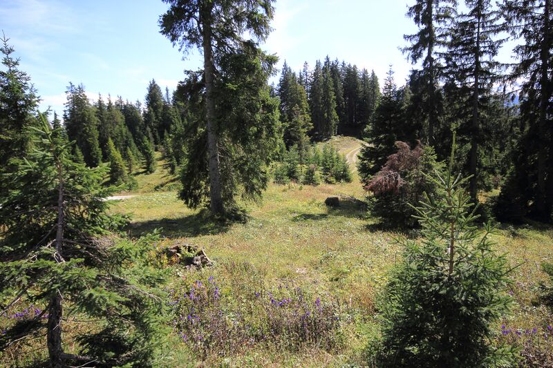 Datei:Sonnwendkogel stoder 09560 2019-09-10.jpg