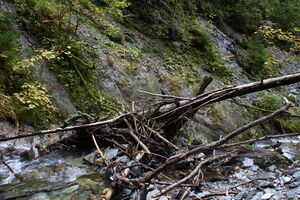 Teufelsschlucht Seewigtal 73398 2014-10-02.jpg