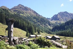 Tuchmoaralm 0181 13-09-05.jpg