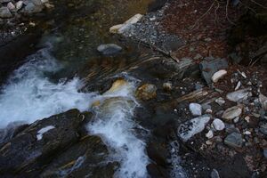 Walchental 43588 2014-02-26.jpg